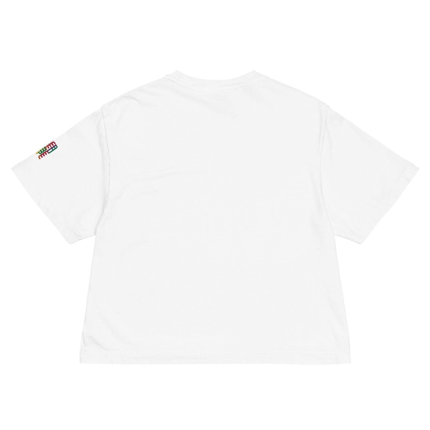 Supply Starring Stripes Women’s Heavyweight Boxy White Embroidered Tee - Been Dope Supply