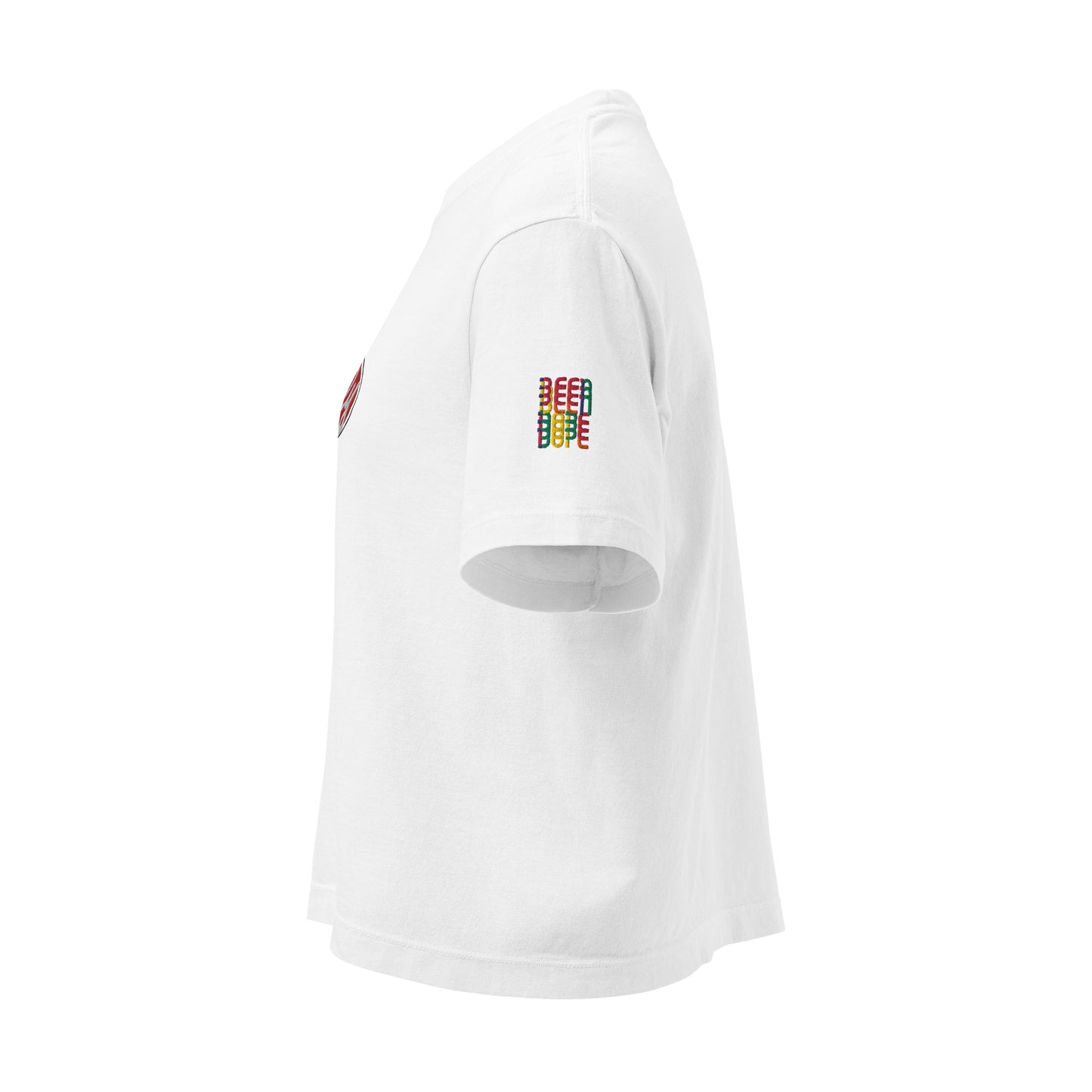Supply Starring Stripes Women’s Heavyweight Boxy White Embroidered Tee - Been Dope Supply